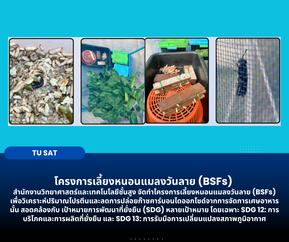 โครงการเลี้ยงหนอนแมลงวันลาย (BSFs)