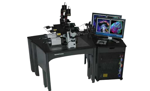 Fluorescence Microscope