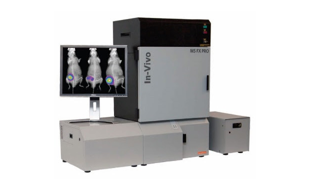 เครื่องถ่ายและวิเคราะห์ภาพสัตว์ทดลองด้วยระบบแสง (Optical In Vivo Imaging System)